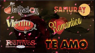 Los FugitivosGrupo TentacionGrupo SamurayViento y Sol 💖 Baladas Romanticas Mix [upl. by Nosauq]