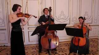 Michael Haydn Divertimento for violin cello double bass [upl. by Roye]