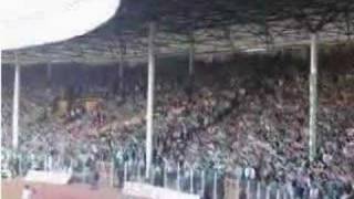 Yeşil İnciler Bursaspor Tribün Show [upl. by Hadwin]