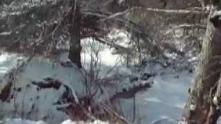 Strange sound in Nova Scotia Jan 2012 [upl. by Buford]