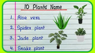 Plants Name 10  Plants Name in English  Names of Plants  Plant Name [upl. by Tebzil877]