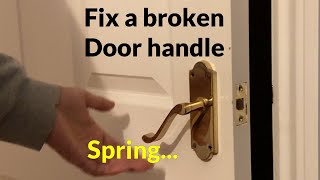 How to fix a Loose Door Handle  Replace broken spring [upl. by Ik]