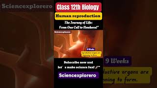 Human Reproduction Class 12th Biology chapter 3 neet  Cbse ncert Part 4 [upl. by Georgine]