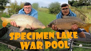 Monster CARP  War Pool SPECIMEN LAKE  Longford Fishery [upl. by Jamie]