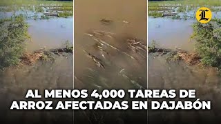 Al menos 4000 tareas de arroz han sido afectadas tras disturbio tropical en Dajabón [upl. by Zenitram806]