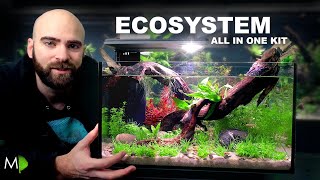 Ecosystem Aquarium In A Nano Kit Tank [upl. by Portia]