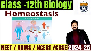 Homeostasis processs  what is homeostasis  Homeostasis class 12 Biology  NEET [upl. by Tullius658]