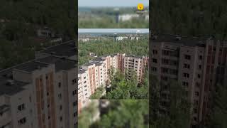 Animais mutantes em Chernobyl curiosidades interessantes animais [upl. by Awhsoj437]