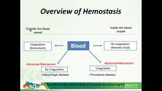 Hematology 21Introduction to Hemostasis [upl. by Sadowski]