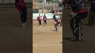 ￼ action cricket [upl. by Battat]