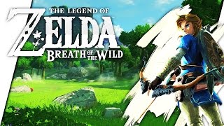 How to get the Emblazoned shield in Zelda botw [upl. by Teddie]