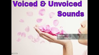 Pronunciation Part 3 Voiced vs Unvoiced Sounds [upl. by Giliana]