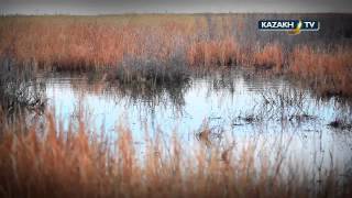 Spearfishing at Lake Balkhash [upl. by Aznarepse]