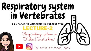 L2 Respiratory system in Fishes ScoliodonComparative Anatomy Notes amp ExplanationMSc Zoology [upl. by Frederich]