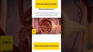 Process of excretion animation video physiology biology onlineclasses education viralshorts [upl. by Nwahsel]