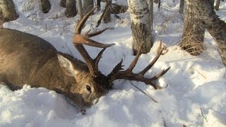 Deer Hunting 2012 170 Monster Buck while pushing bush [upl. by Odoric502]