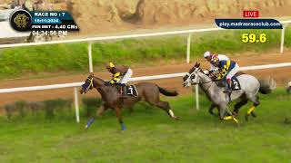 RACE NO  74  BRILLIANT LADY WINS  The Baaeed Handicap Div1 [upl. by Kial]