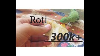 100  HEALTHY DIET  Best Foods For Parrots Hindiurdu Subbed [upl. by Aer362]