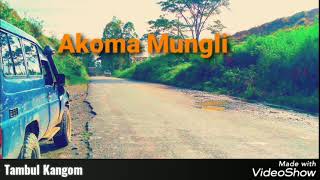 Akoma Mungli  Boynorth ft Snookz  Wilson Tasik Yard 2020 PNG Music [upl. by Adnolehs]