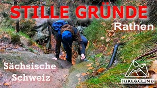 Riskant  Kletterei in den stillen Gründen bei Regen  Rathen  Sächsische Schweiz [upl. by Rebah678]