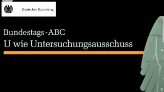 Untersuchungsausschuss Kontrolle der Regierung [upl. by Levison946]