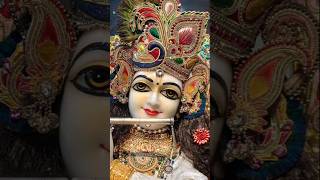 Kanha mere dil man shahad tune bhar deeya  short  krishna ji yshort [upl. by Anaib117]