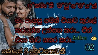 Anjana dhushyantha රචනයක්  අකමැතී මampධුසmayak  randige panhida beautiful romantic novel [upl. by Schroer]