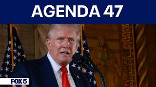 Trumps quotAgenda 47quot calls for sweeping changes to federal workforce [upl. by Chrissie919]