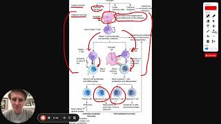 MCAT Question of the Day Immune System Response [upl. by Larine638]