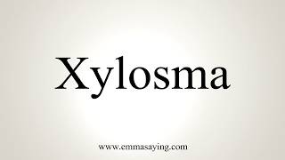 How To Pronounce Xylosma [upl. by Nidraj659]