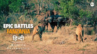 Epic Battles तंजानिया 2023 हिन्दी डॉक्यूमेंट्री  Wildlife documentary in Hindi [upl. by Lema]