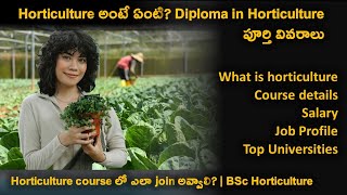 Horticulture course details explained in Telugu  BSc Horticulture jobs salaries Top Universities [upl. by Llednew]