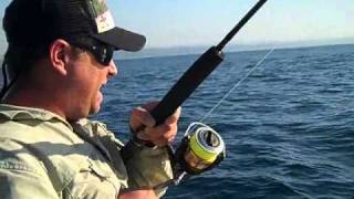 Extreme Game Fishing with CASTPenn Conquer 7000 amp Wes Peens Vid 2wmv [upl. by Kerred]