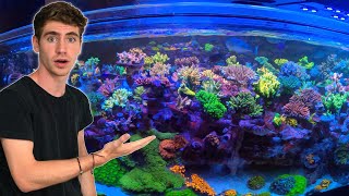 Private Tour of 30000 GALLON Reef Aquarium SPS Dominant Coral Farm  Top Shelf Aquatics [upl. by Nnaeoj]