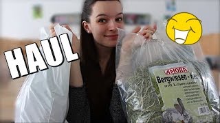 Spontaner MEERSCHWEINCHENHAUL [upl. by Ellinad]