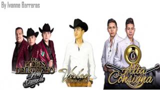 MIX VIRLAN GARCIA FT ALTA CONSIGNA Y LOS PLEBES DEL RACHO CORRIDOS Y ROMANTICAS 2016 [upl. by Alletnahs]