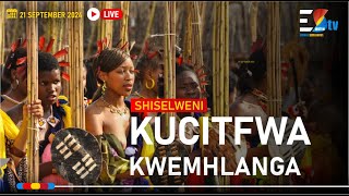 Kucitfwa Kwemhlanga eShiselweni  21092024 [upl. by Lazaro]