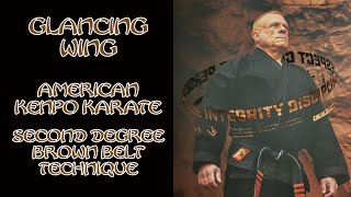 Glancing Wing American Kenpo Karate 2nd Degree Brown Belt [upl. by Aneerb]