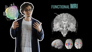 Visualizing the brain  functional neuroimaging [upl. by Methuselah184]