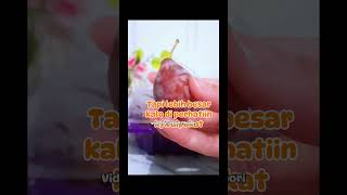 sugar plum shortvideo review plum sugarplum fruits [upl. by Lesde]