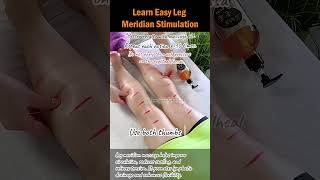 Learn Easy Leg Meridian Stimulation [upl. by Lance]