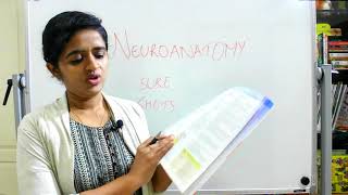 MUST KNOW EXAM TOPICSPART 5NEUROANATOMY FOR UNDERGRADUATE MEDICAL STUDENTS DR ROSE JOSE MD [upl. by Aneloj]