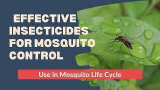 Mosquito Control Methods Natural Repellents amp Effective Insecticides [upl. by Eardnaed881]