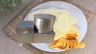 Centrifugal potato chips and french fries dewatering machine  french fries deoiling machine [upl. by Nesila]