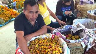 Celebrando el Primer día de Todos los Santos en Ayoquezco de Aldama [upl. by Acessej]