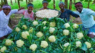 CAULIFLOWER amp MUSHROOM Cooking  Crispy Mushroom 65 and CauliFlower 65 Recipe  Easy Veg Fry Recipes [upl. by Briny530]