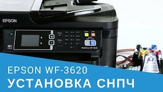 Установка СНПЧ на МФУ Epson WorkForce WF3620 [upl. by Purvis25]