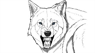 How To Draw A Snarling Wolf  Step By Step  shorts drawing tutorial [upl. by Labaw910]