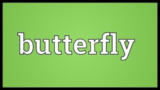 Butterfly Meaning [upl. by Etnod]