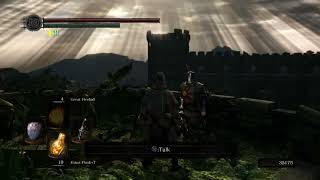 Dark Souls Remastered  Dialogue with Solaire of Astora about his poor fortune in the Sunlight Altar [upl. by Aerdnua]